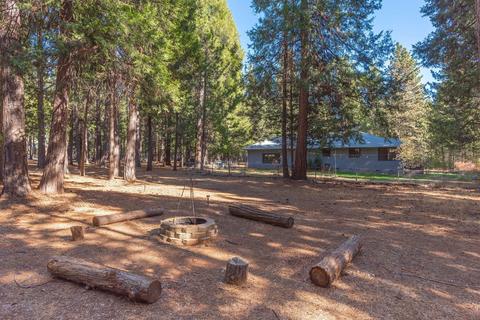 24466 Shake Ridge Rd, Volcano, CA 95689 photo 38
