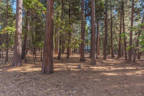 24466 Shake Ridge Rd, Volcano, CA 95689 photo 37