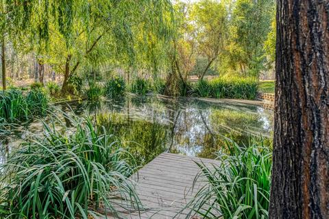 13480 Bennett Rd, Herald, CA 95638 photo 9