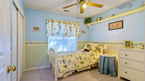 472 S Manley Rd, Ripon, CA 95366 photo 32