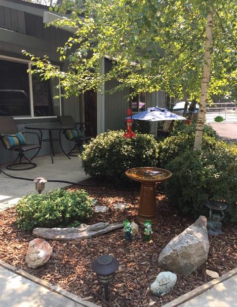 3981 Frog Hollow Dr, Placerville, CA 95667 photo 41