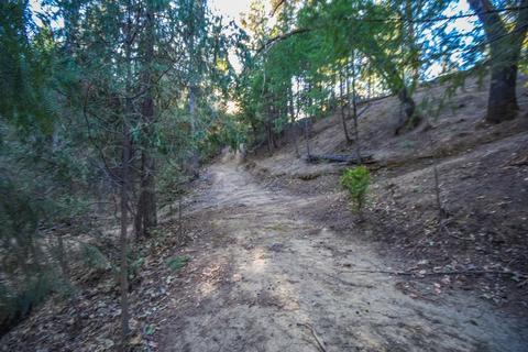 3981 Frog Hollow Dr, Placerville, CA 95667 photo 30