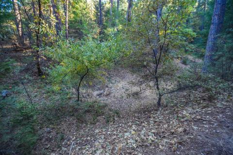 3981 Frog Hollow Dr, Placerville, CA 95667 photo 32