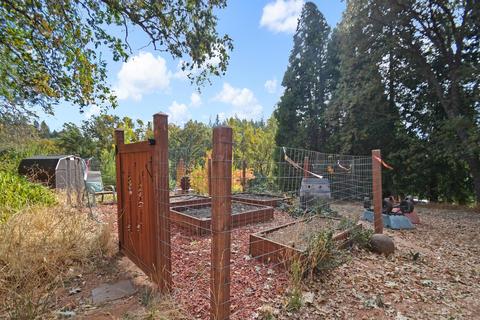 13807 Shadow Glen Ct, Pine Grove, CA 95665 photo 3