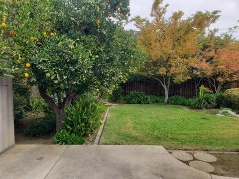 2024 Walnut Ave, Carmichael, CA 95608 photo 49