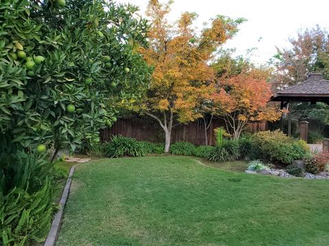 2024 Walnut Ave, Carmichael, CA 95608 photo 46