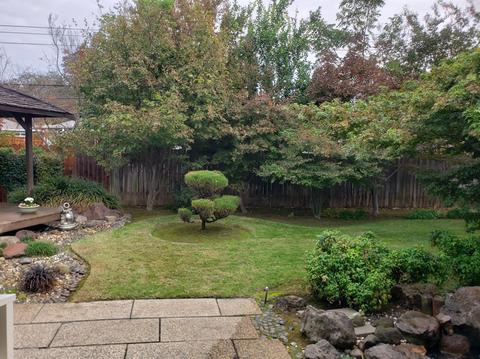 2024 Walnut Ave, Carmichael, CA 95608 photo 40