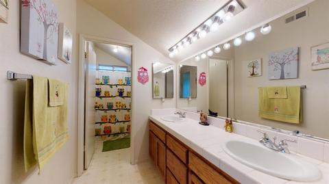 3605 Chandra Ct, Ceres, CA 95307 photo 29