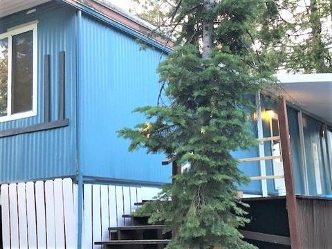 1085 Amber Loop, Grass Valley, CA 95945 photo 3