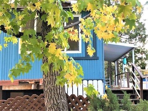 1085 Amber Loop, Grass Valley, CA 95945 photo 27