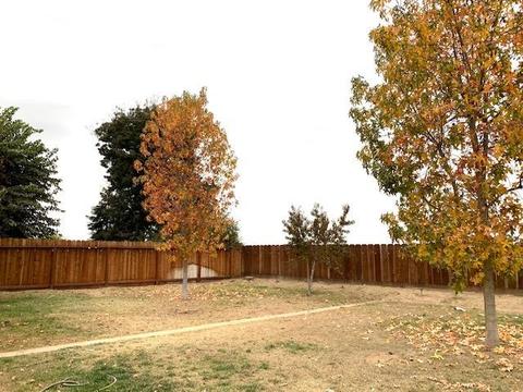 4305 Windgate Dr, Denair, CA 95316 photo 9