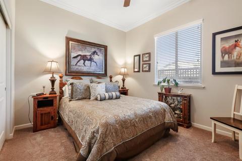 1040 Evergreen Ave, Lathrop, CA 95330 photo 24