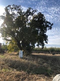 6230 Garst Rd, Modesto, CA 95357 photo 6