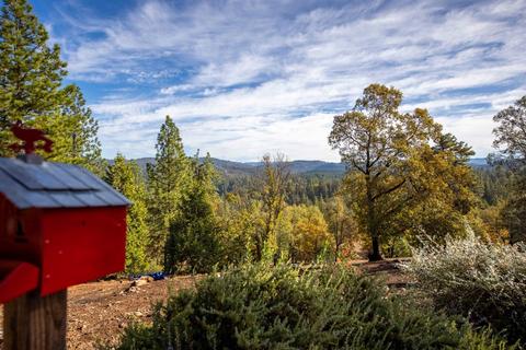 3180 Bentonite Ln, Placerville, CA 95667 photo 95