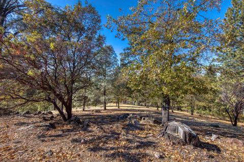 3180 Bentonite Ln, Placerville, CA 95667 photo 67