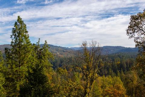 3180 Bentonite Ln, Placerville, CA 95667 photo 96