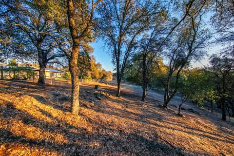 3550 Cherry Acres Rd, Cool, CA 95614 photo 78
