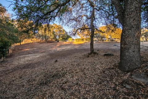 3550 Cherry Acres Rd, Cool, CA 95614 photo 77