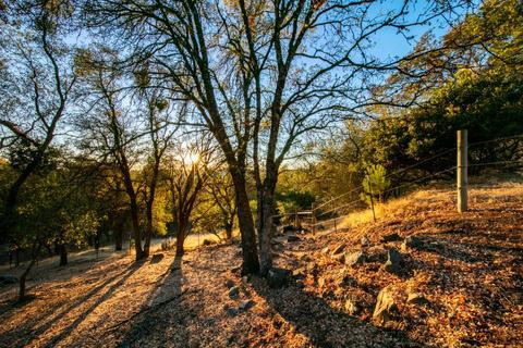 3550 Cherry Acres Rd, Cool, CA 95614 photo 80