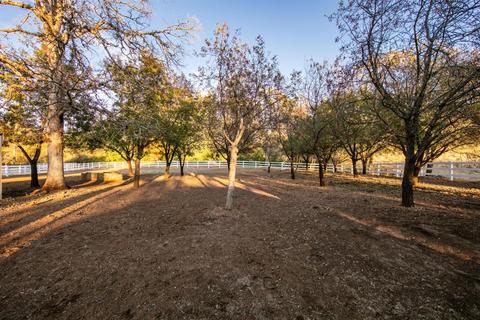 3550 Cherry Acres Rd, Cool, CA 95614 photo 57