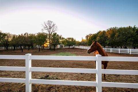 3550 Cherry Acres Rd, Cool, CA 95614 photo 3