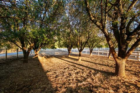 3550 Cherry Acres Rd, Cool, CA 95614 photo 50