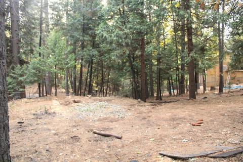 6131 Red Robin Rd, Placerville, CA 95667 photo 14