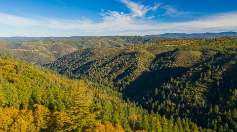 375 Jane Dr, Placerville, CA 95667 photo 30