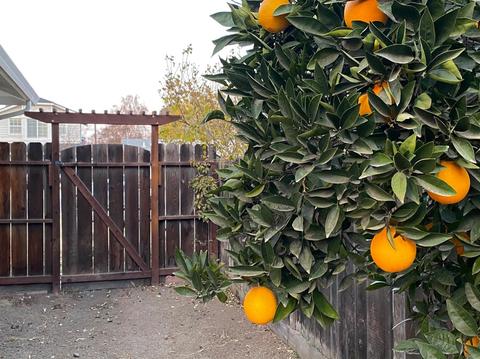 508 Bruce Ave, Modesto, CA 95350 photo 26