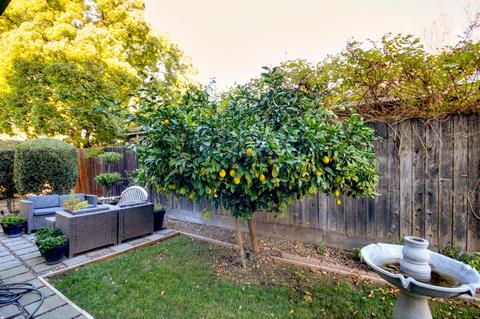 2829 Edison Ave, Sacramento, CA 95821 photo 28