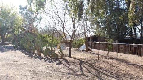 5489 Olive Rd, Corning, CA 96021 photo 28