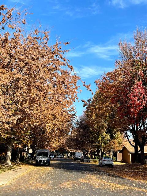 4038 Elmo Loop, Modesto, CA 95356 photo 3