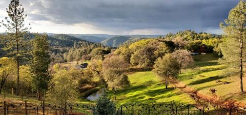 2440 Cascade Trl, Cool, CA 95614 photo 2