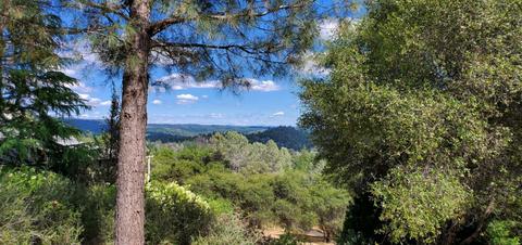 2440 Cascade Trl, Cool, CA 95614 photo 41