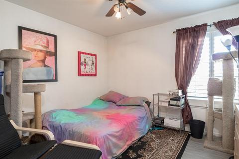1166 Springtime Ave, Manteca, CA 95336 photo 17