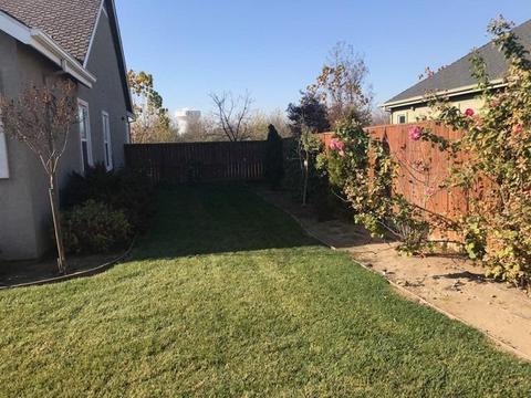 1770 Cornerstone Dr, Ripon, CA 95366 photo 14
