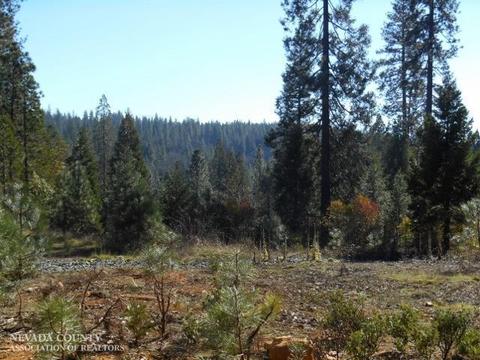 13076 Summer Thyme Ct, Grass Valley, CA 95945 photo 5