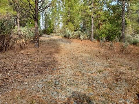 13076 Summer Thyme Ct, Grass Valley, CA 95945 photo 1