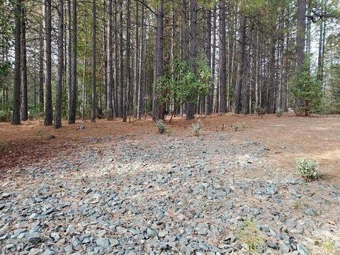 13076 Summer Thyme Ct, Grass Valley, CA 95945 photo 11