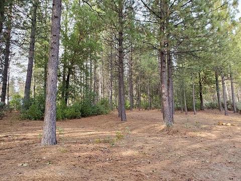 13076 Summer Thyme Ct, Grass Valley, CA 95945 photo 10