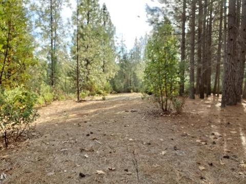 13076 Summer Thyme Ct, Grass Valley, CA 95945 photo 3
