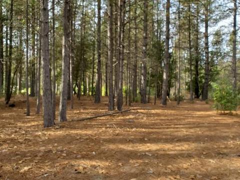 13076 Summer Thyme Ct, Grass Valley, CA 95945 photo 2