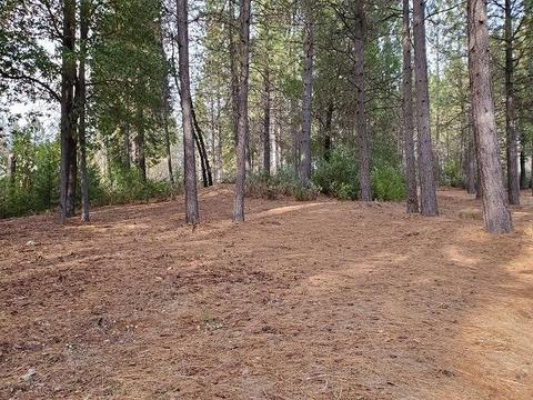 13076 Summer Thyme Ct, Grass Valley, CA 95945 photo 7