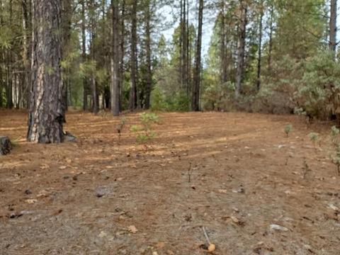 13076 Summer Thyme Ct, Grass Valley, CA 95945 photo 14