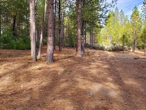 13076 Summer Thyme Ct, Grass Valley, CA 95945 photo 9