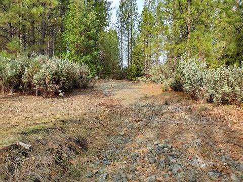 13076 Summer Thyme Ct, Grass Valley, CA 95945 photo 4