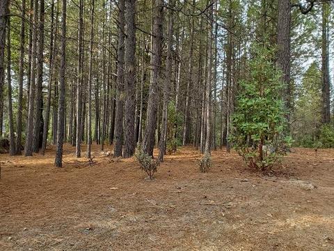 13076 Summer Thyme Ct, Grass Valley, CA 95945 photo 13