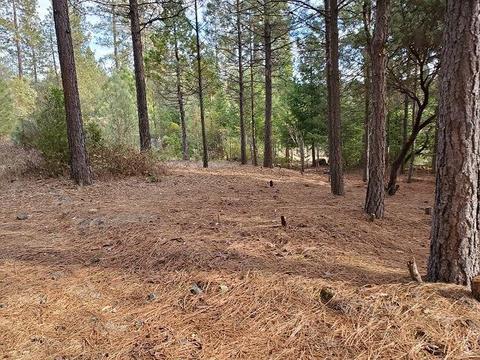 13076 Summer Thyme Ct, Grass Valley, CA 95945 photo 8