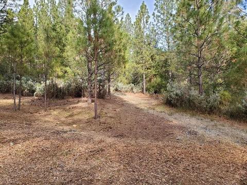 13076 Summer Thyme Ct, Grass Valley, CA 95945 photo 12