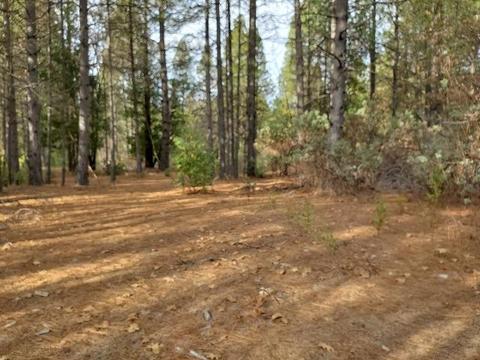 13076 Summer Thyme Ct, Grass Valley, CA 95945 photo 15
